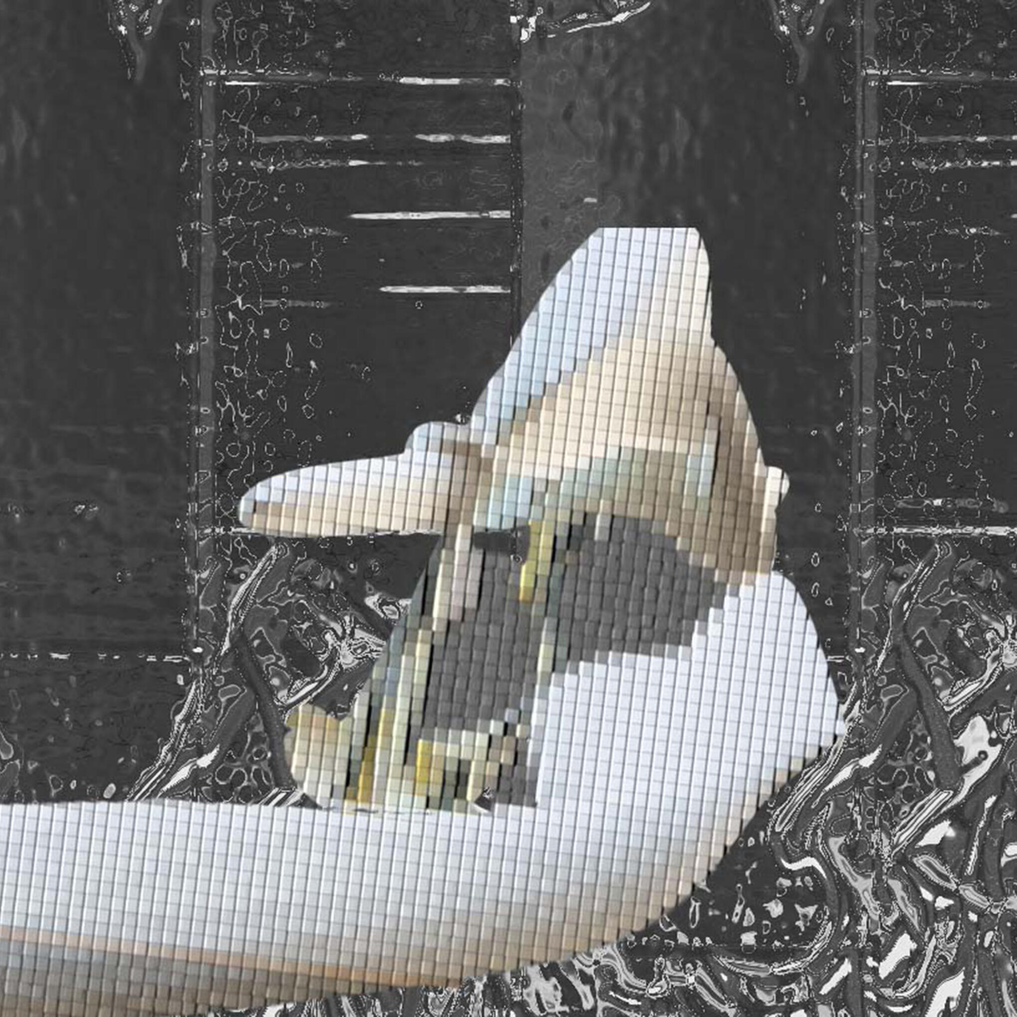new album artwork